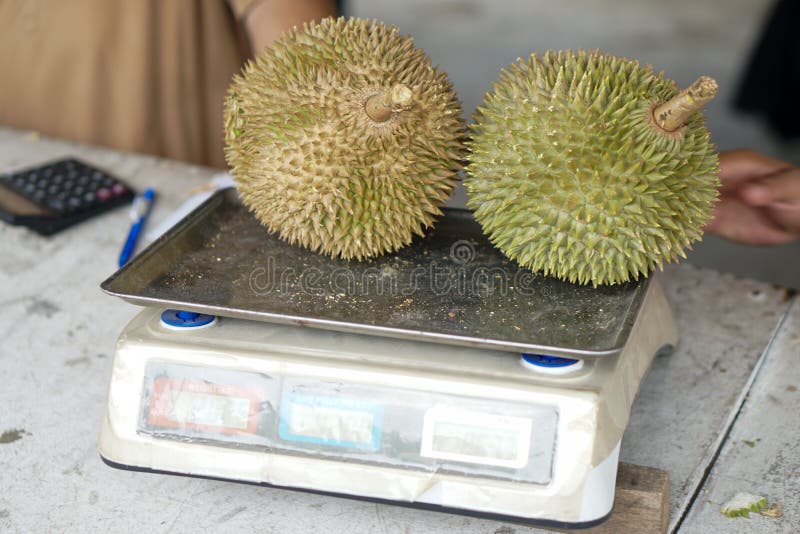 https://thumbs.dreamstime.com/b/fresh-exotic-tropical-fruits-durian-asian-king-fruit-closeup-fresh-exotic-tropical-fruits-durian-weighing-scale-sale-173283867.jpg