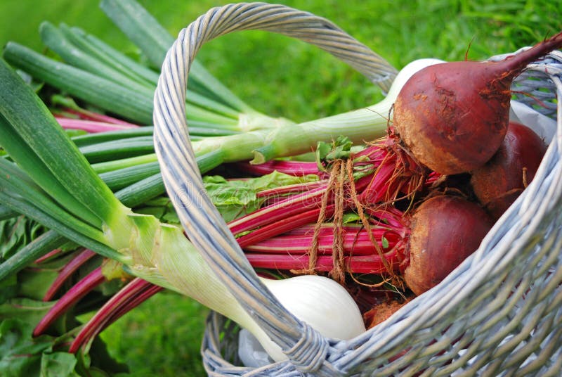 Fresh farm vegetables