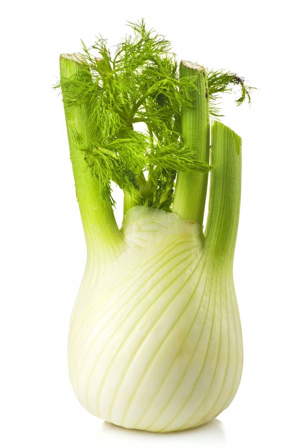 Fresh fennel stock photo. Image of vegetarian, line, tomatoes 22291296