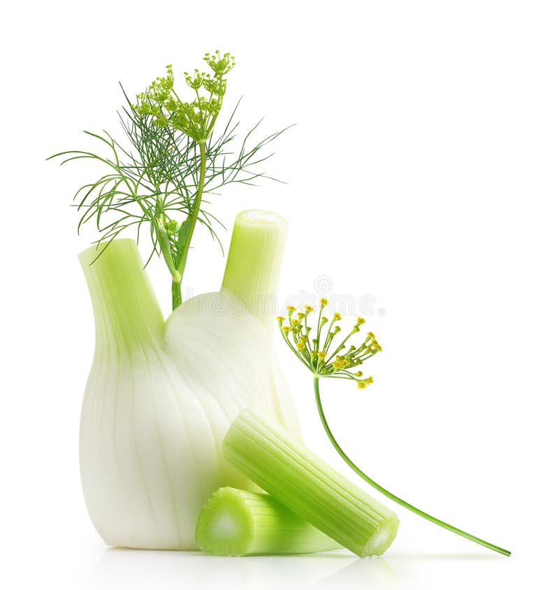 Fresh Fennel Bulb with Leaves Stock Photo Image of diet, closeup