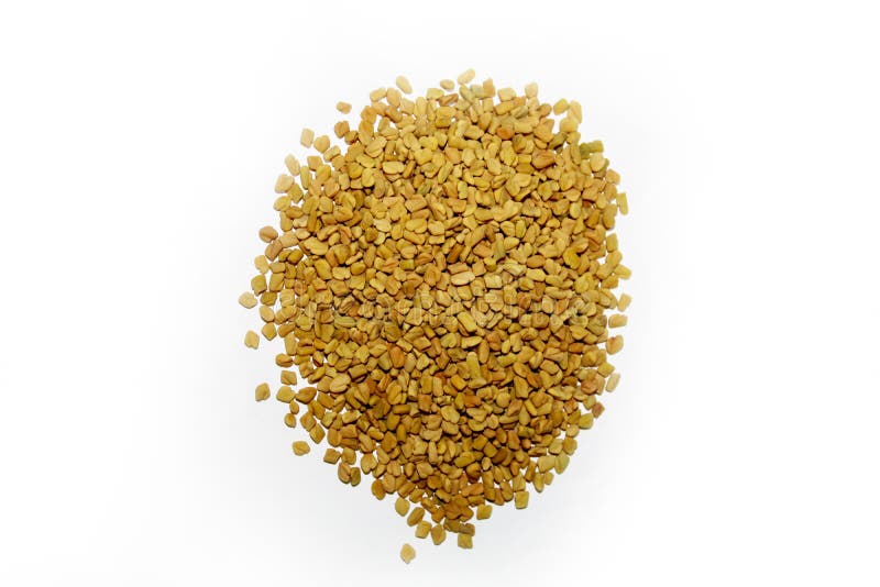 Fresh Fenugreek Seed with White Background Image Stock Photo Image of