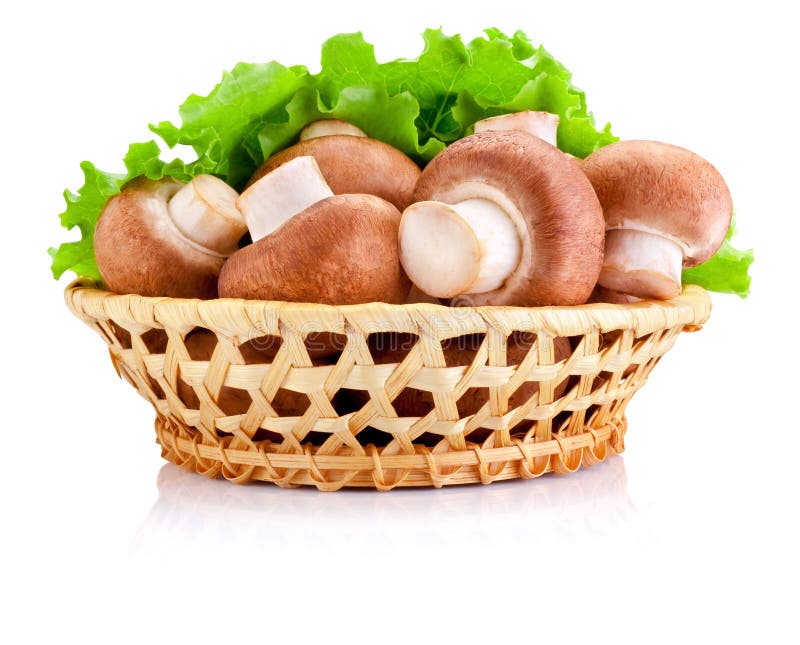 Fresh field mushroom in basket and Leaves of green salad Isolated