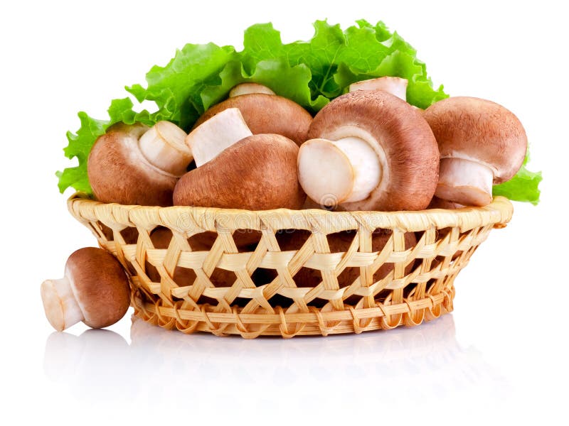 Fresh field mushroom in basket and Leaves of green salad Isolated