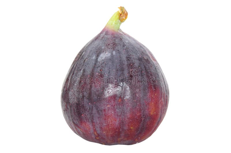 Fresh Fig Fruit Isolated on White Stock Image Image of gourmet