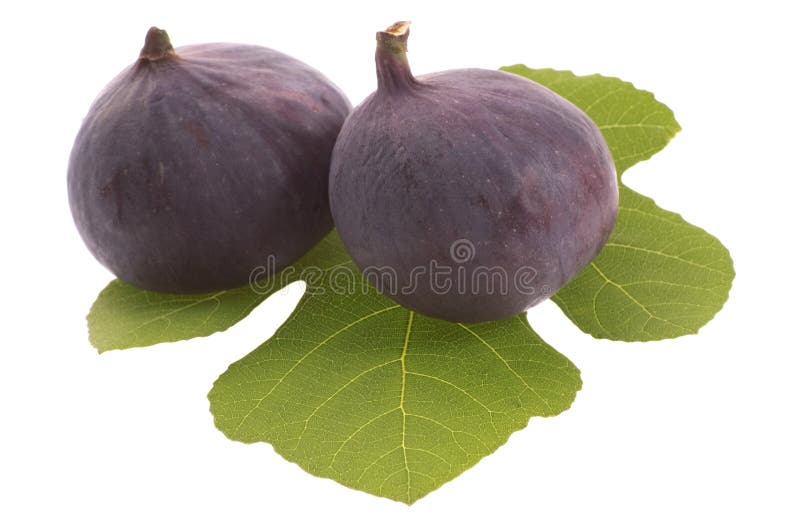 Fresh figs