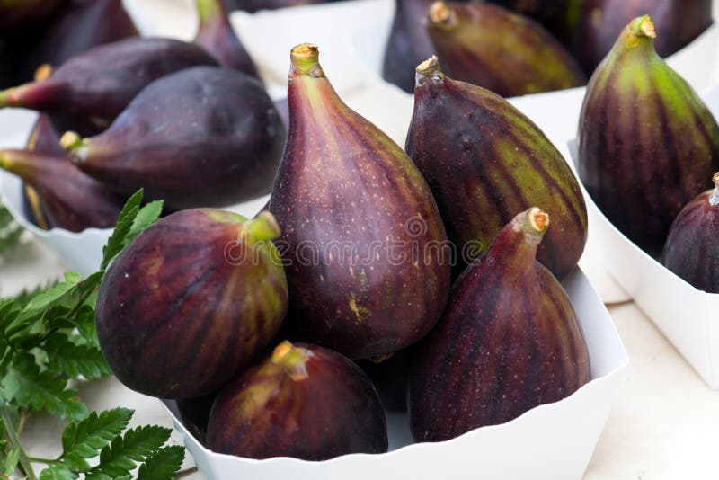 Fresh Figs on the Market Place Stock Photo Image of dessert, colorful