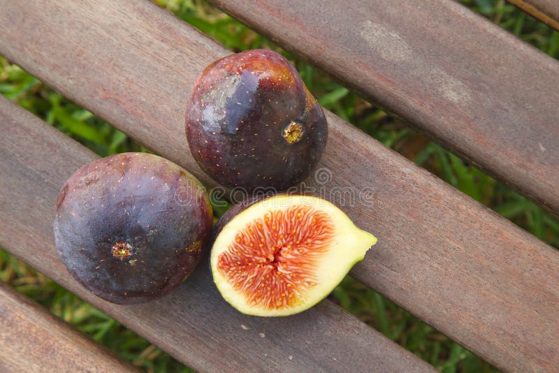 Fresh figs stock image. Image of calories, fruit, fresh 58632645