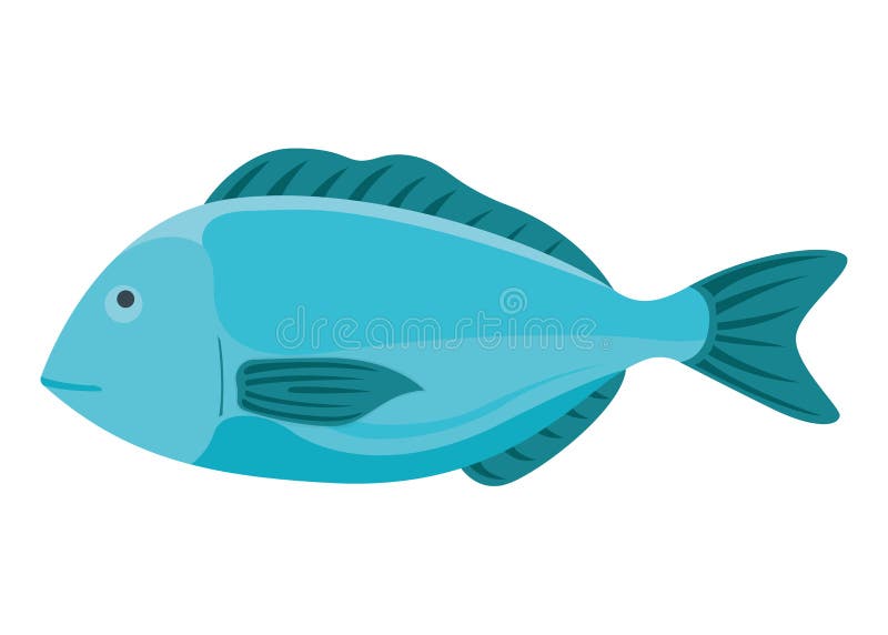 Fresh Fish, Cartoon Style Flat Vector Illustration Dorada. Concept Minnow Seafood Stock Vector - Illustration of cuisine, food: 181159538 Fresh Fish, Cartoon Style Flat Vector Illustration Dorada. Concept Minnow Seafood Stock Vector - Illustration of cuisine, food: 181159538