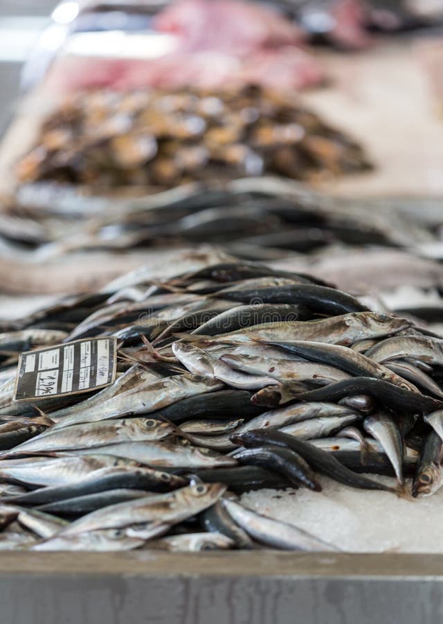 Fresh Fish Catch on Sale at Local Fish Market Stock Image Image of