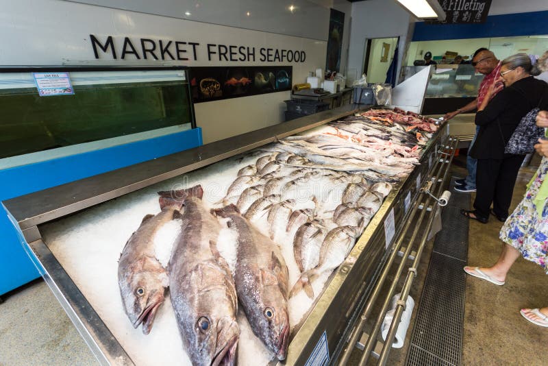 New Zealand Red Snapper Fish On Ice Stock Photo - Image of nutritious