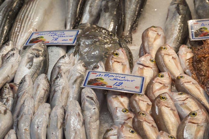 Fresh Fish in the Fish Market Greece Editorial Photo Image of fresh