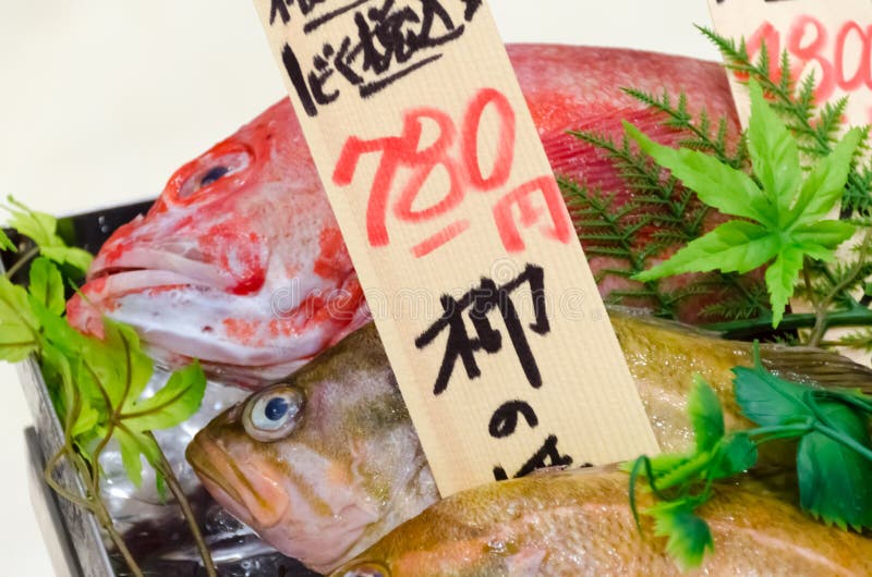 Fresh fish in market stock photo. Image of nature, cooking 43512610