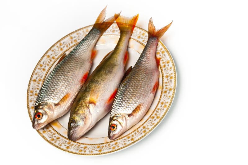 Fresh fish on plate stock photo. Image of diet, uncooked 18781868