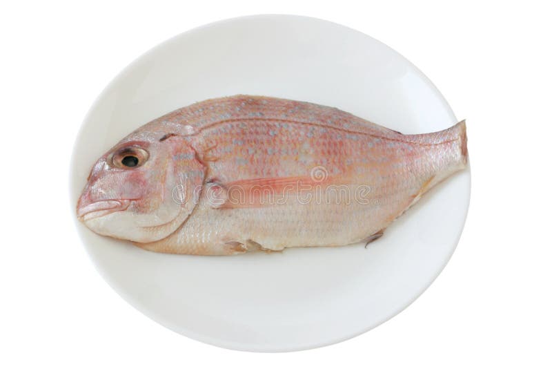 Fresh fish on a plate stock photo. Image of plate, uncooked 20002004