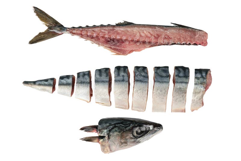 Fresh fish, raw cod fillets isolate background, Fish head, fish royalty free stock image Fresh fish, raw cod fillets isolate background, Fish head, fish royalty free stock image