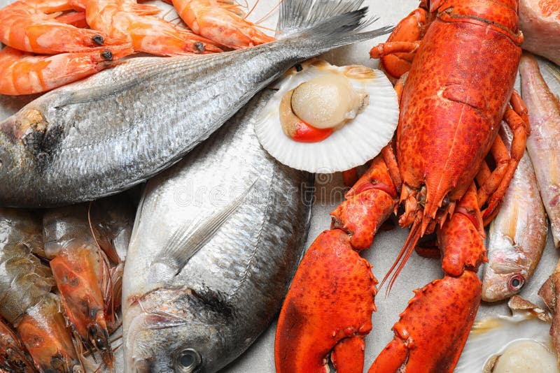 Fresh fish and seafood stock photo. Image of background 169663306