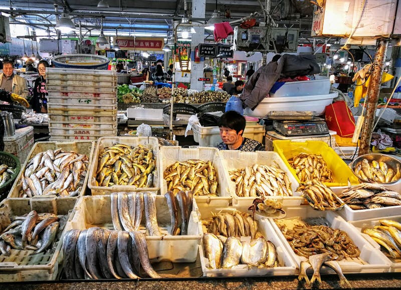 Fresh fish section in Chow Kit wet market Kuala Lumpur Malaysia