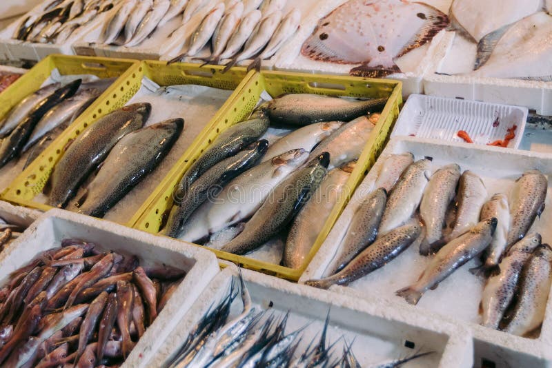 Fresh fishes in a market stock photo. Image of mackerel 146224236