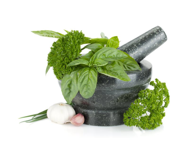 Fresh flavoring herbs and spices in mortar royalty free stock photo