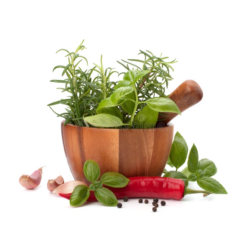 Fresh flavoring herbs and spices in wooden mortar stock photography