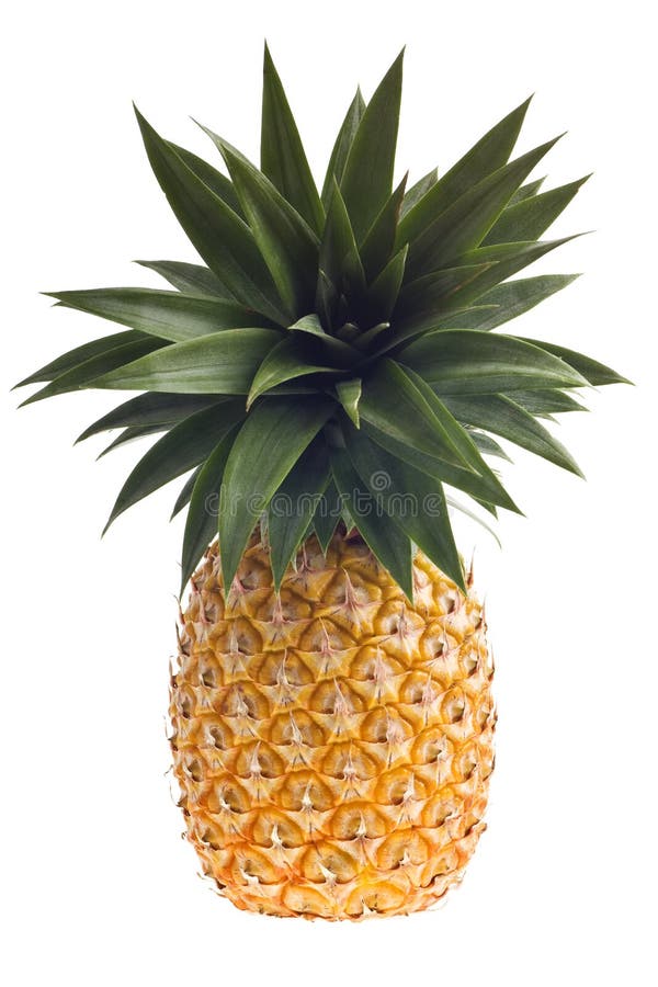 Fresh Florida pineapple isolated on white