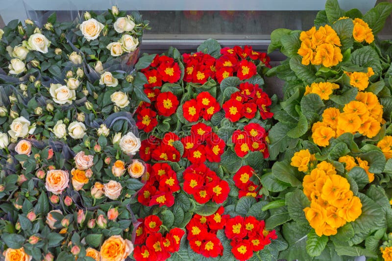 Fresh Flowers Delivery stock image. Image of flower 242685249