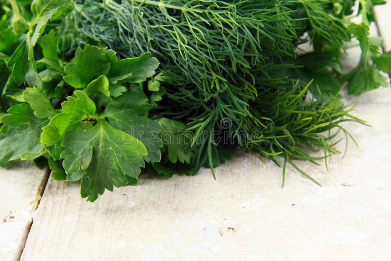 Fresh Food Dill and Parsley Stock Photo Image of fresh, healthy 19234200