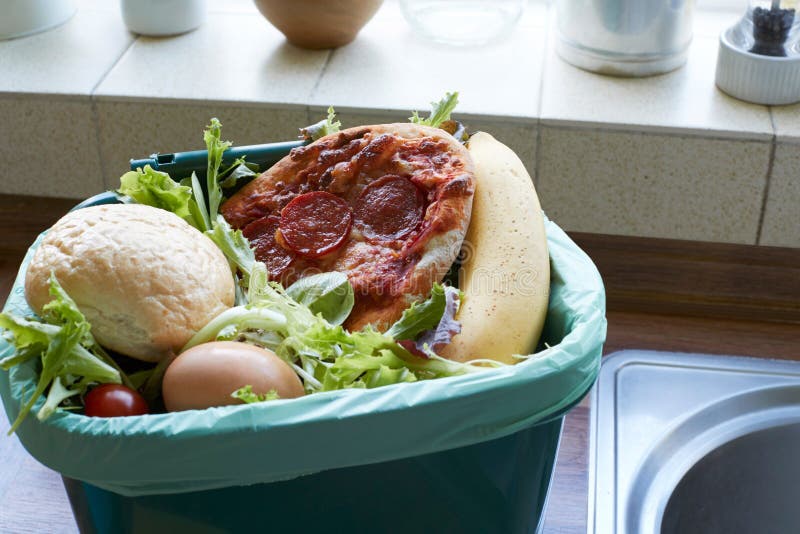 Fresh Food Waste in Recycling Bin at Home Stock Photo Image of sell