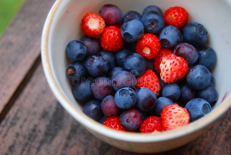 Fresh forest berries