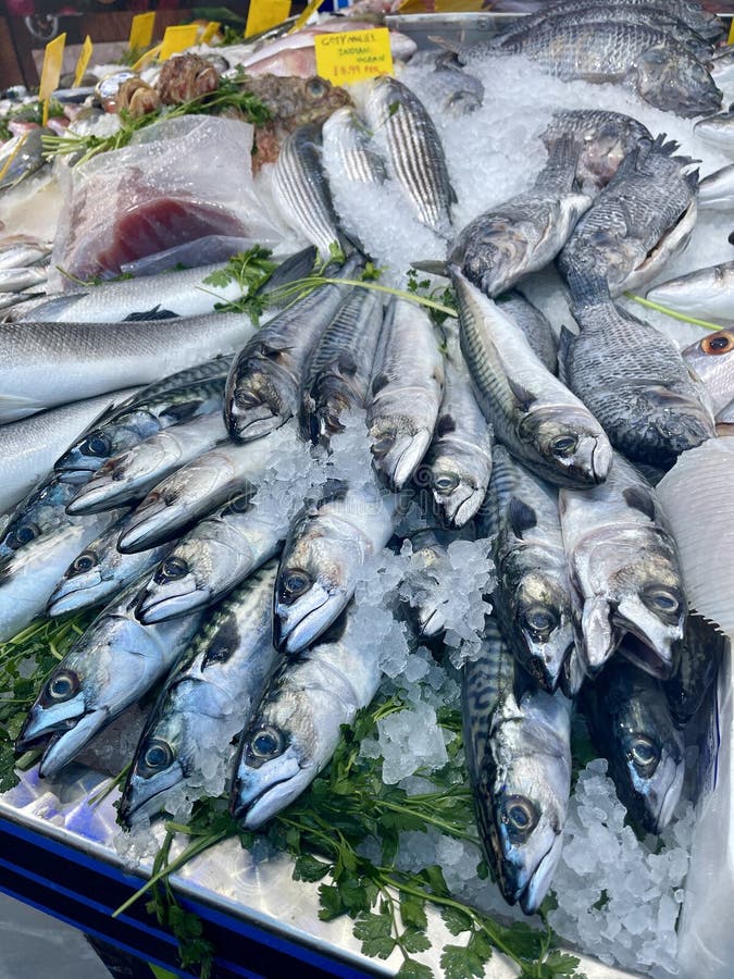 Fresh and Frozen Fish in Market Corner Stock Image Image of cuisine