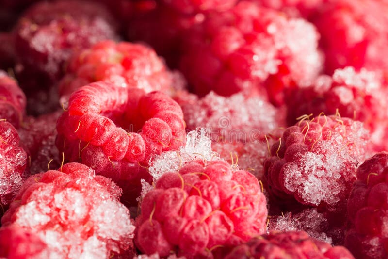 Raspberries in the closed ground.