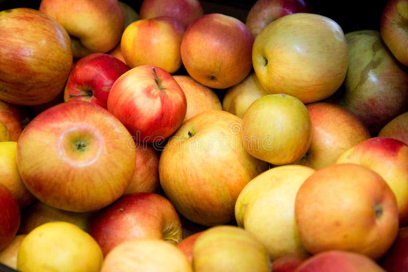 Ripe Red Apples on the Counter in the Supermarket Stock Image Image