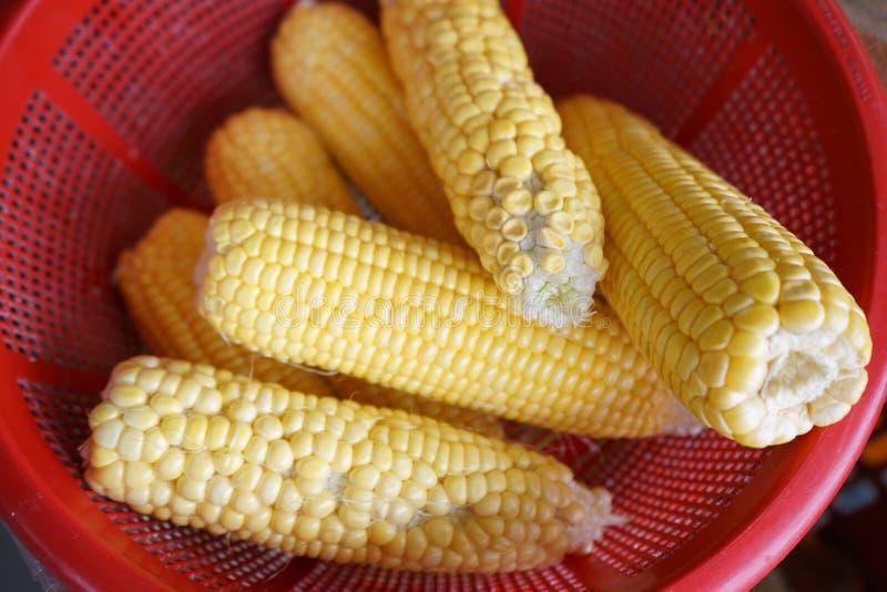 Fresh Fruit on Sale by the Road Stock Photo Image of european, grape
