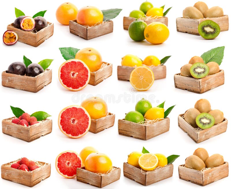 Set of fresh fruits stock photo. Image of organic, nature 7273308