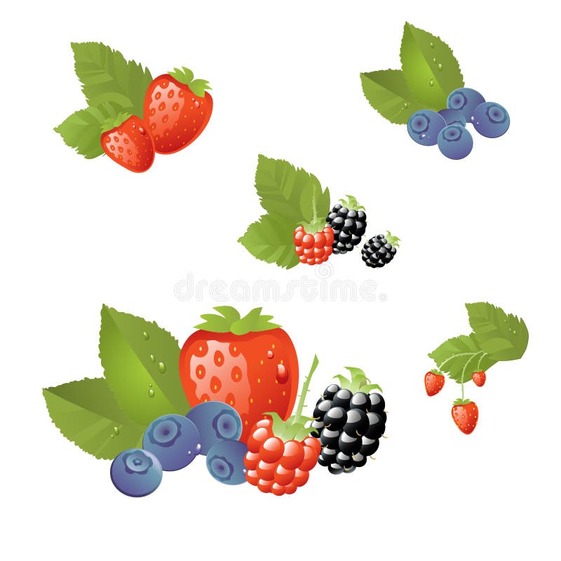 Fresh fruits isolated