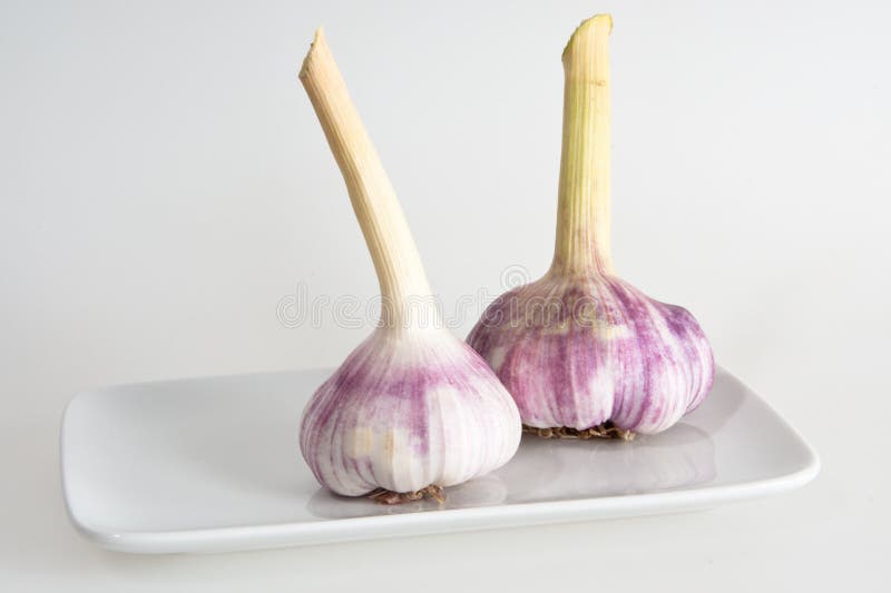 Fresh garlic stock photo. Image of italy, ingredient 10571828