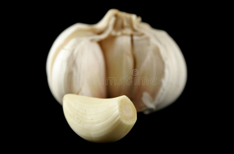 Fresh Garlic 2