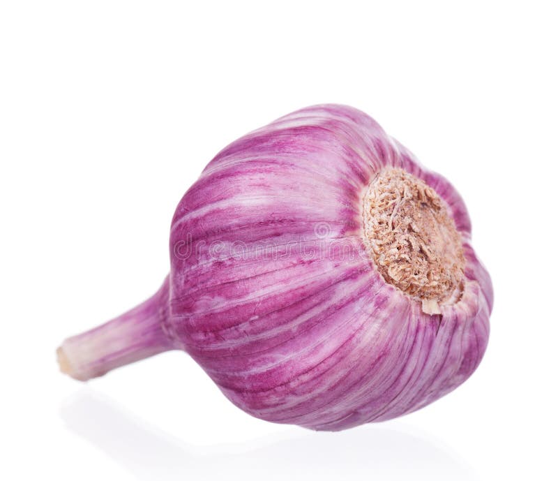 Fresh garlic stock image. Image of purple, aromatic, relish 21306699