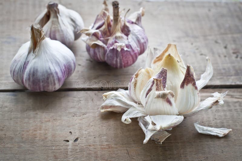Fresh garlic bulbs stock photo. Image of health, group 58756246