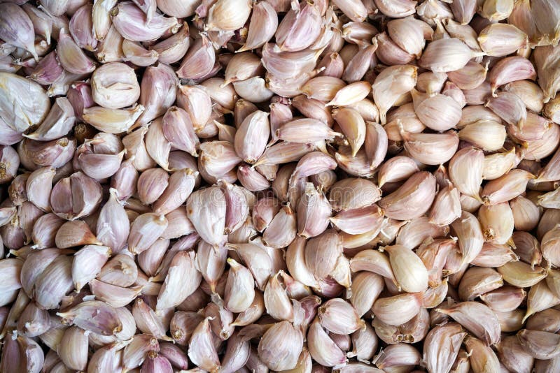 Fresh Garlic Cloves, an Essential Cooking Ingredient. Stock Image