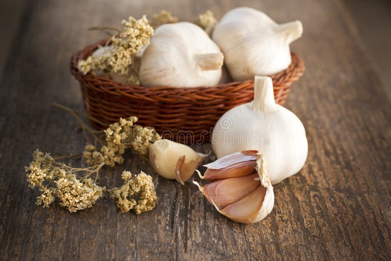 Fresh garlic-healthy food