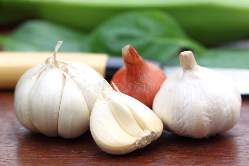 Fresh garlic with onion stock photo. Image of color, onion 32618644