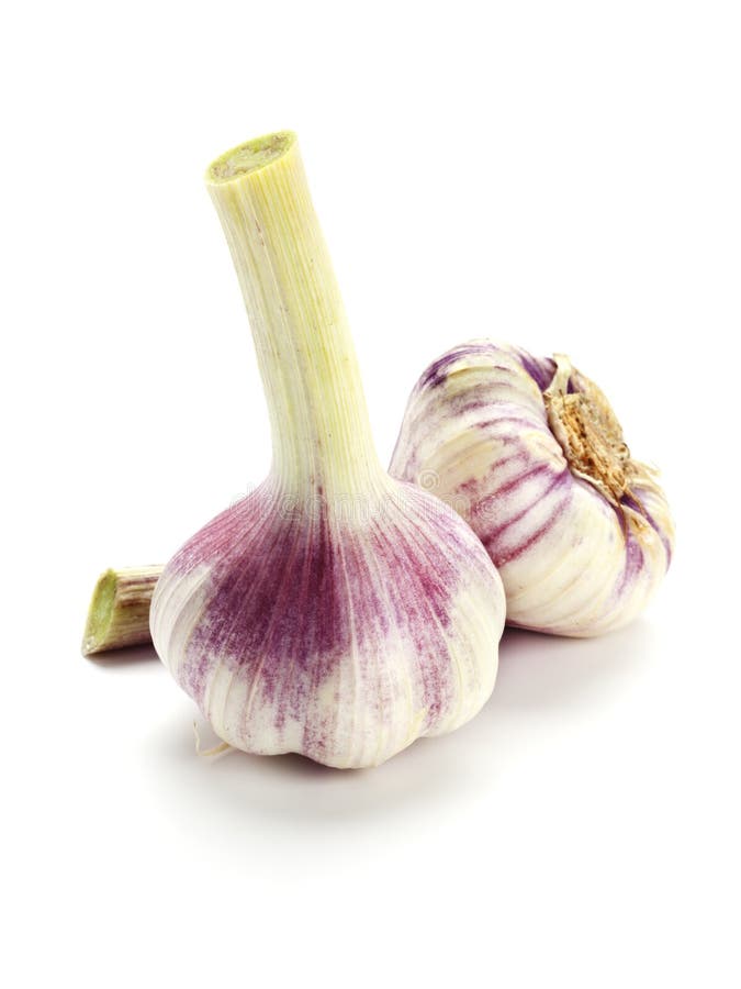 Fresh garlic onions