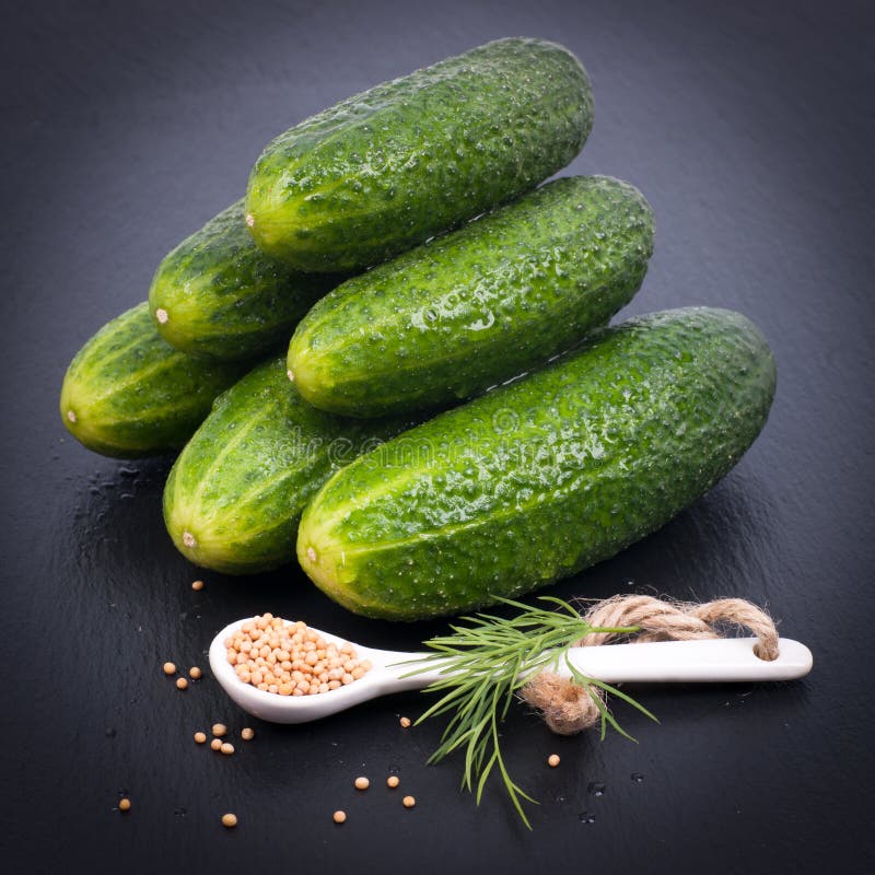 Fresh gherkin stock photo. Image of ingredients, vegetable 30485772