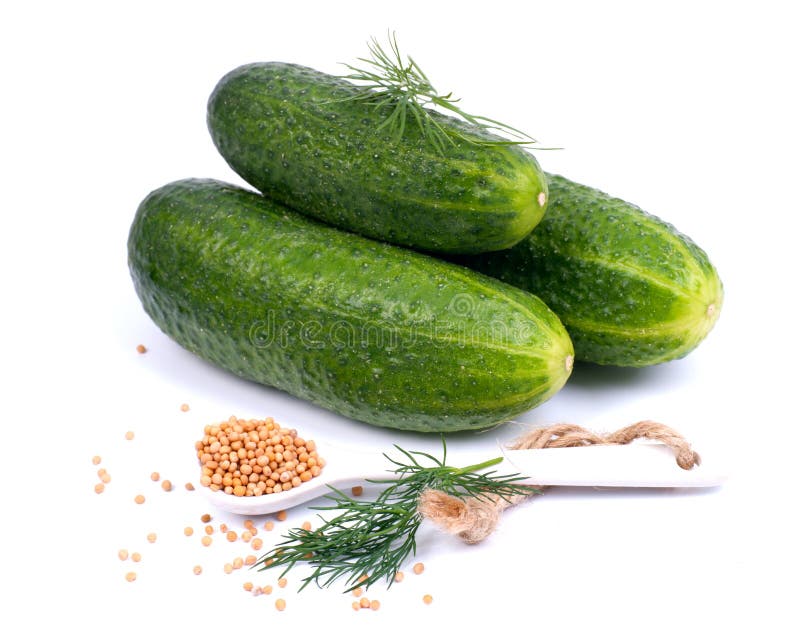 Fresh gherkin stock photo. Image of ingredients, vegetable 30485772
