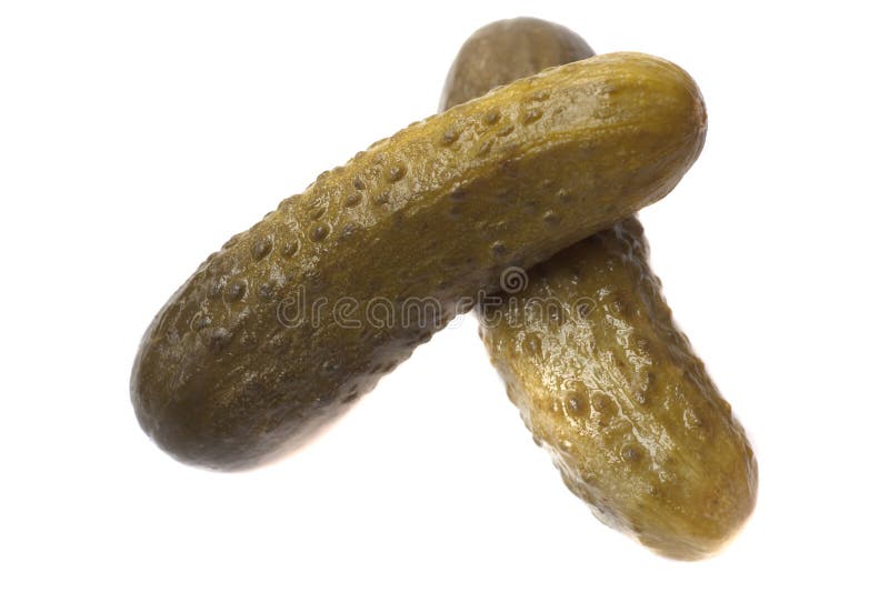 Fresh Gherkins on White Background Stock Photo Image of healthy