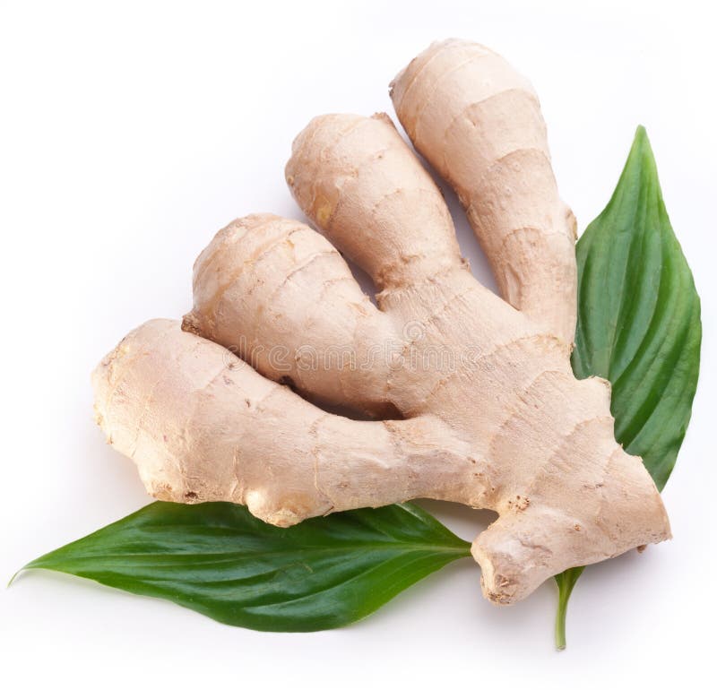 Ginger and Leaf stock photo. Image of organic, ingredient 19519018