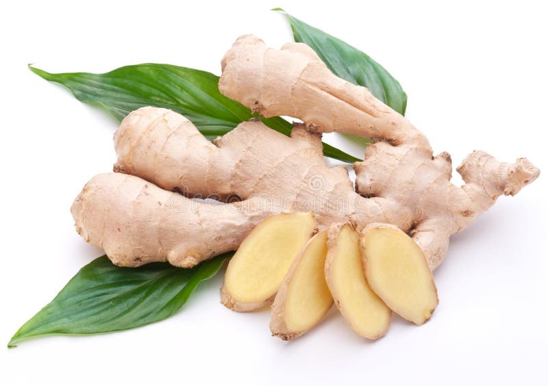 Fresh ginger with leaves. stock photo. Image of seasoning 17409638