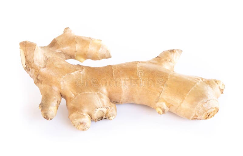 Fresh Ginger Root Isolated on White Background for Herb and Medical