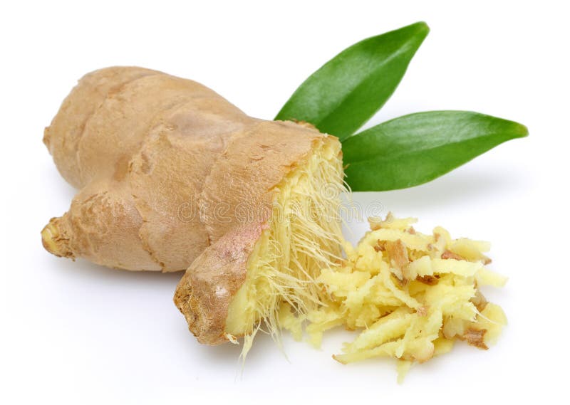 Fresh Ginger Root with Leaves Isolated on White Stock Photo Image of